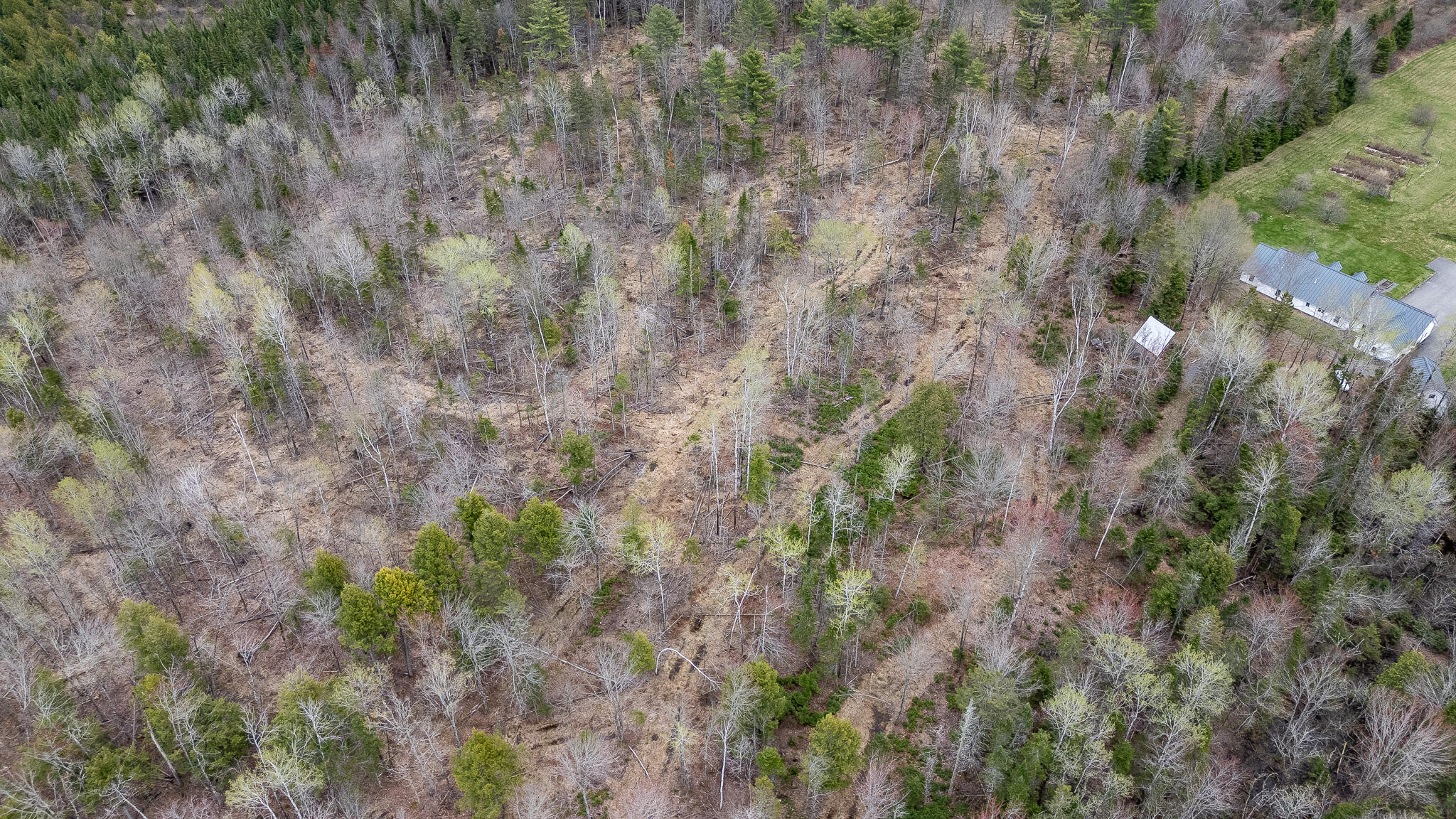 394 Frenchs Mill Road Sangerville, ME 04479 - Photo 87 of 105