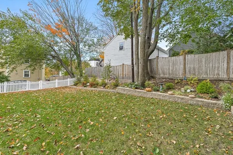 a view of backyard with tree