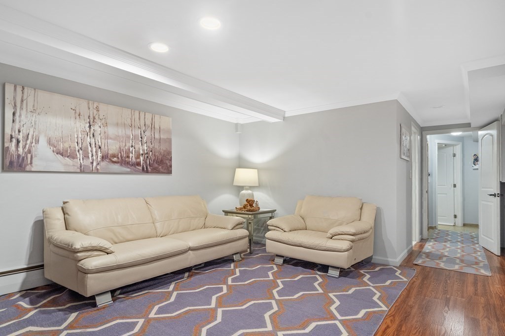 113 Deborah Road Newton, MA 02459 - Photo 26 of 34 a living room with furniture and a rug