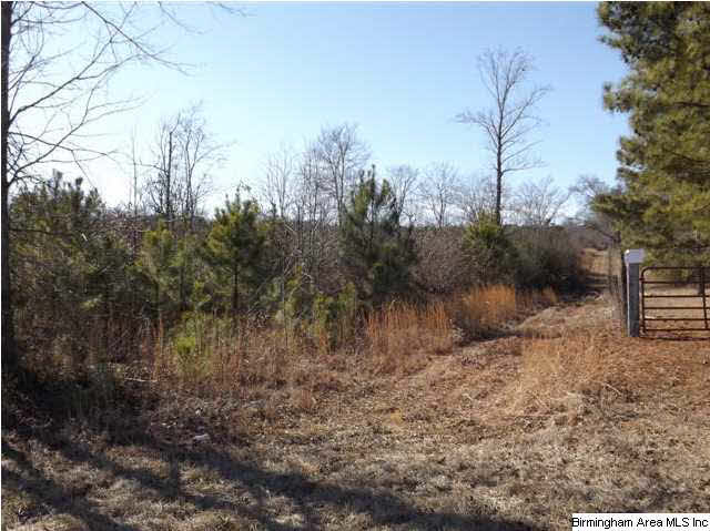 New Prospect Church Road, Unit 16 Horton, AL 35980 - Photo 10 of 20
