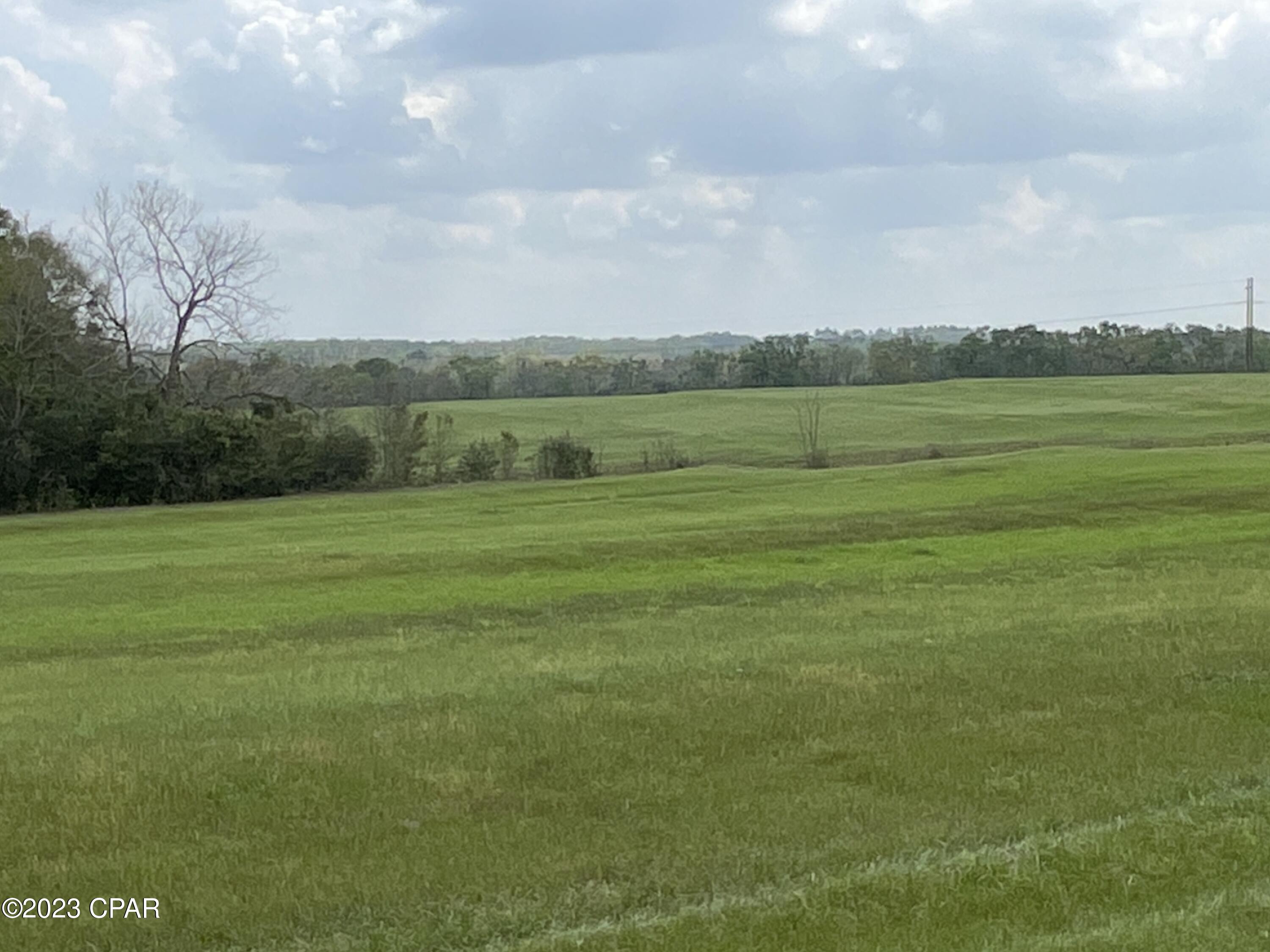 0 Anderson Road Bonifay, FL 32425 - Photo 11 of 16 Gallery Image 11