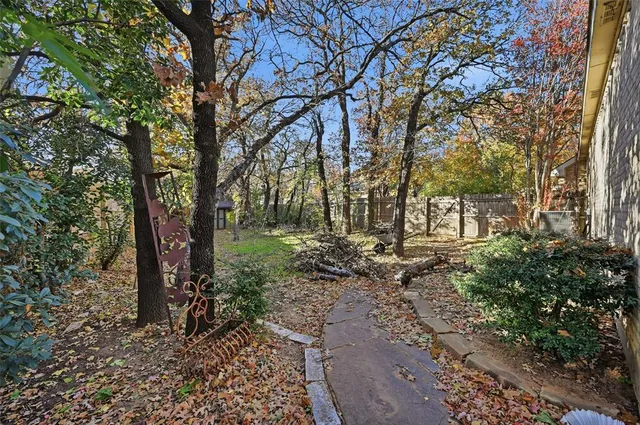 a view of a forest with trees