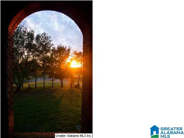 6211 Highway 29 Oneonta, AL 35121 - Photo 6 of 24