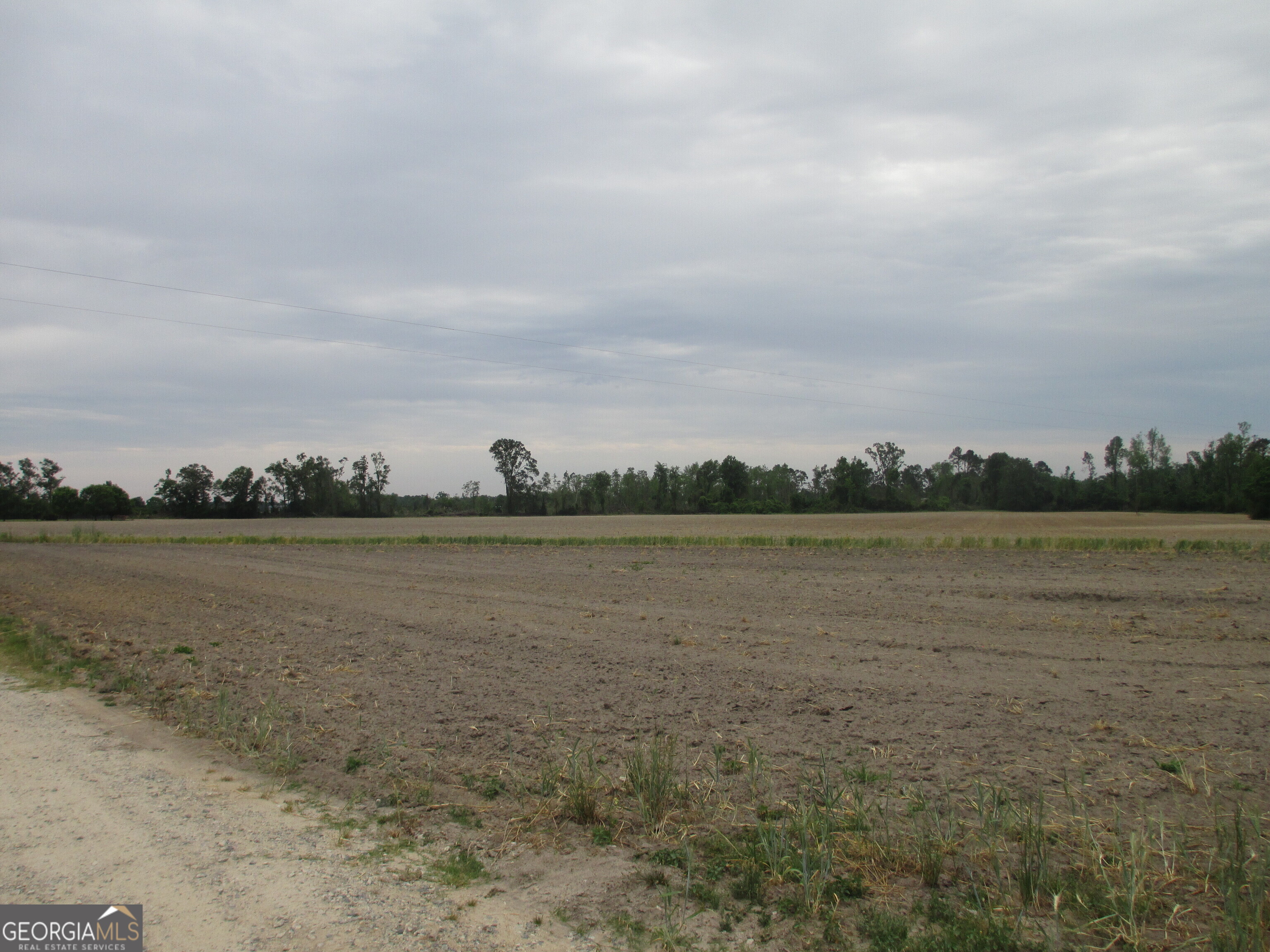 8600022-t5 8600022-t5 Redbird Road Lumber City, GA 31549 - Photo 2 of 8 a view of lake with mountain