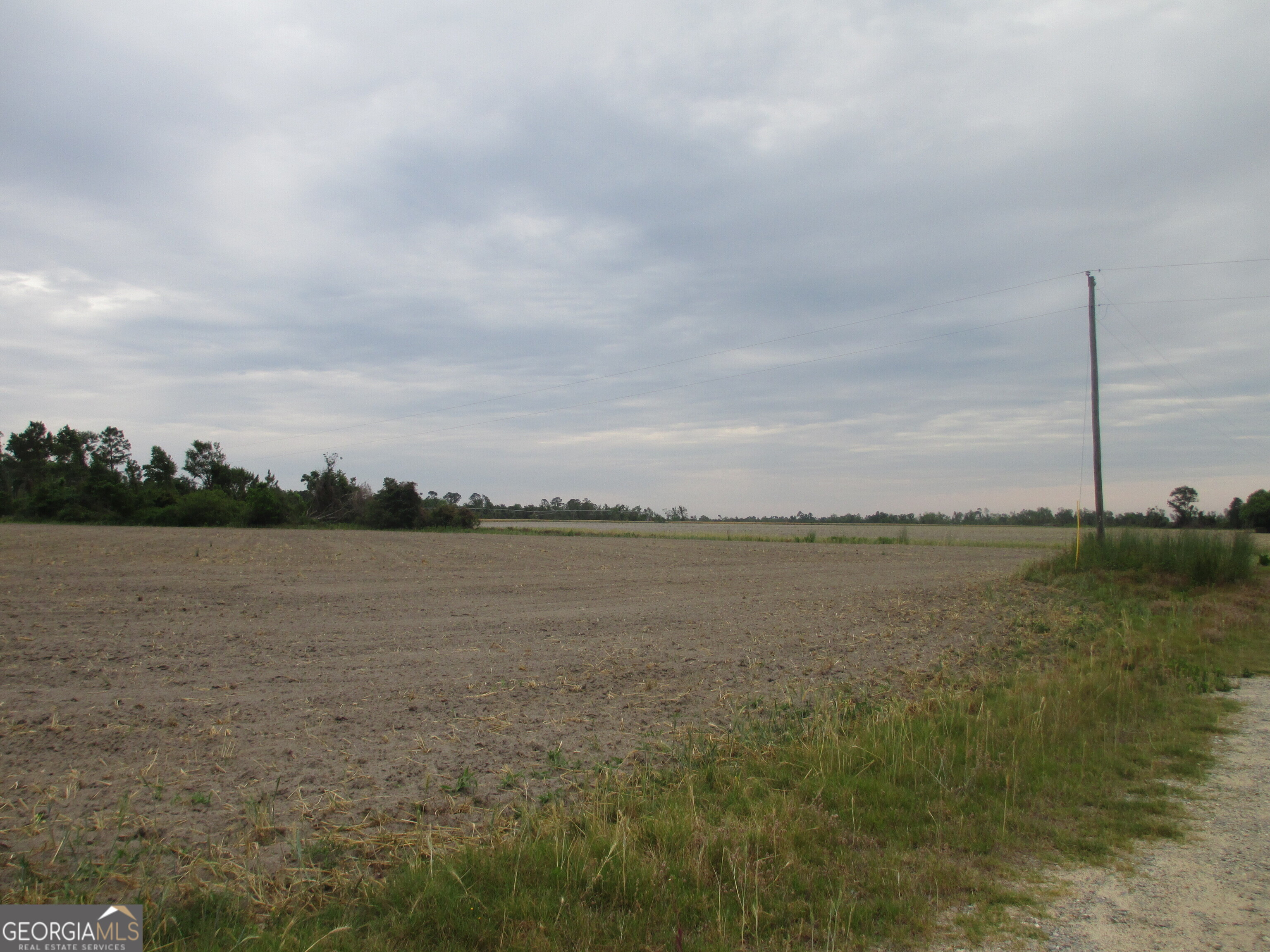 8600022-t5 8600022-t5 Redbird Road Lumber City, GA 31549 - Photo 3 of 8 a view of a lake from a yard