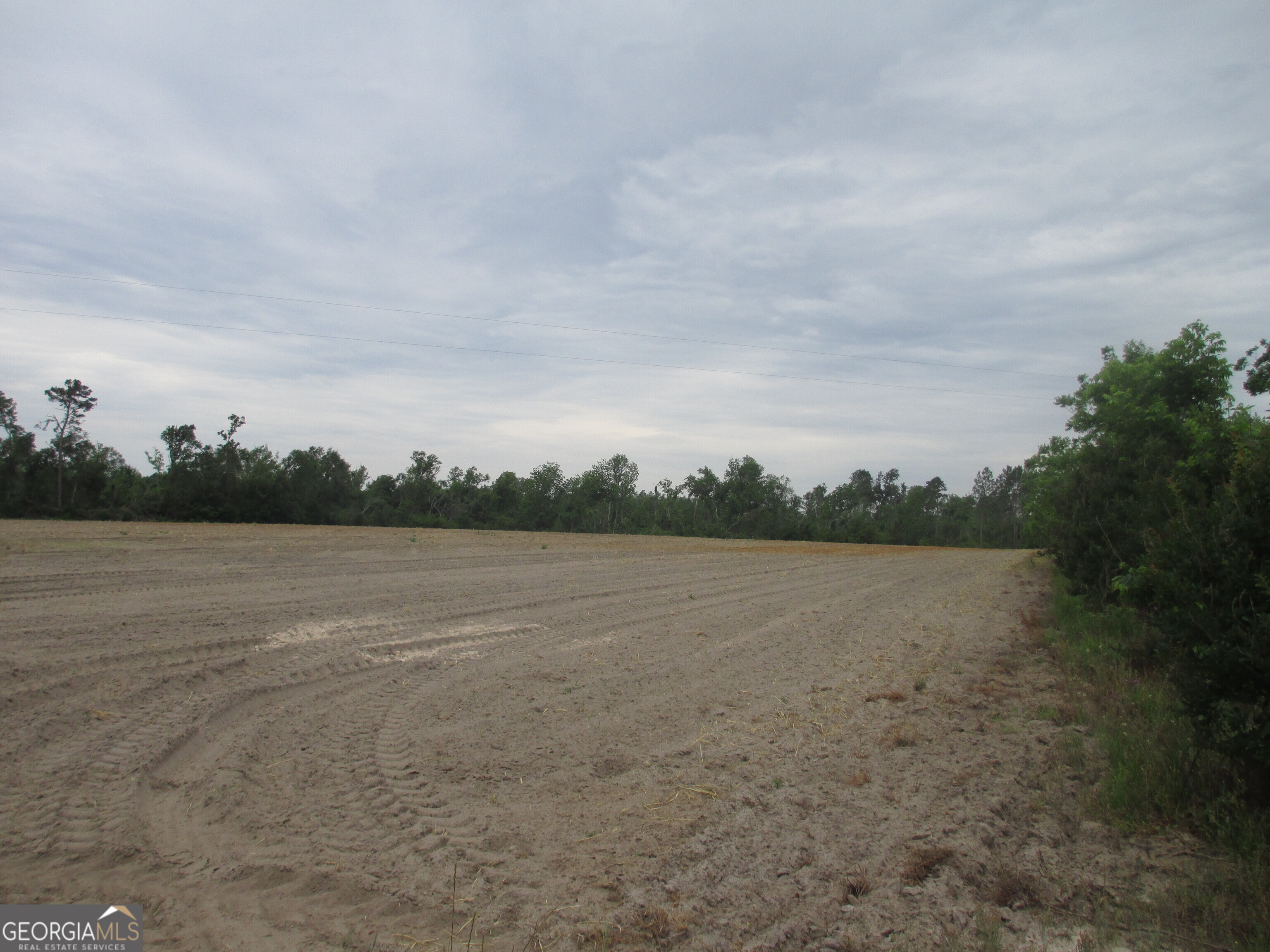 8600022-t5 8600022-t5 Redbird Road Lumber City, GA 31549 - Photo 4 of 8 a view of lake view and mountain view