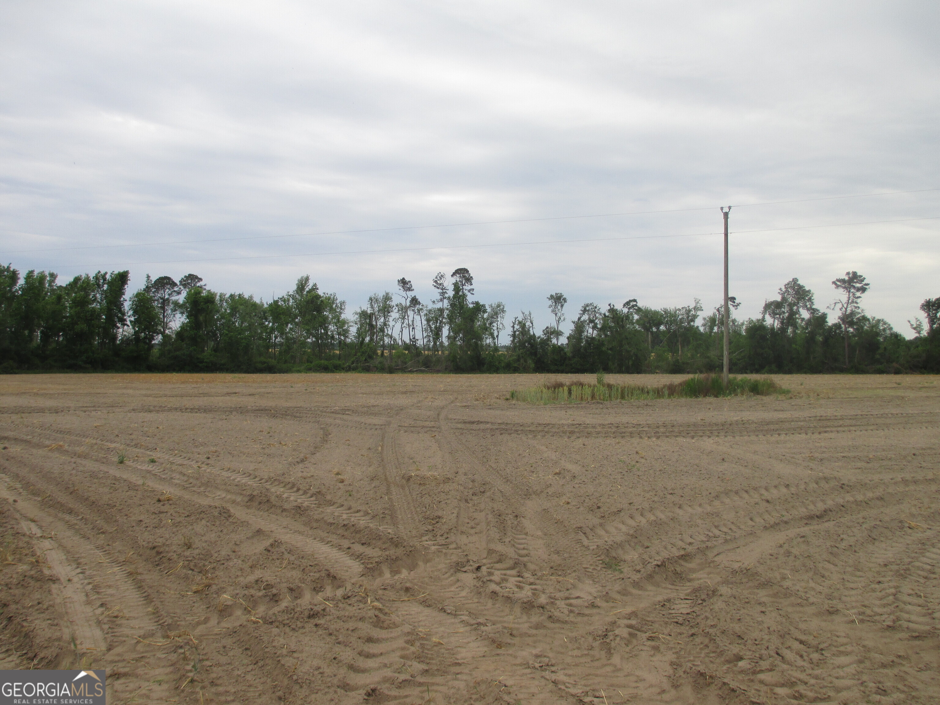 8600022-t5 8600022-t5 Redbird Road Lumber City, GA 31549 - Photo 5 of 8 a view of a field with trees in background
