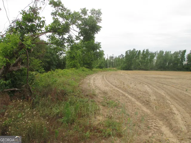 a view of a field with trees in the background