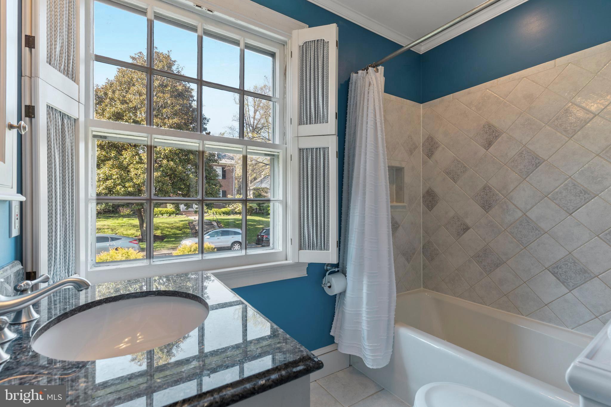 329 Tunbridge Road Baltimore, MD 21212 - Photo 39 of 76 a bathroom with a granite countertop sink and a bathtub