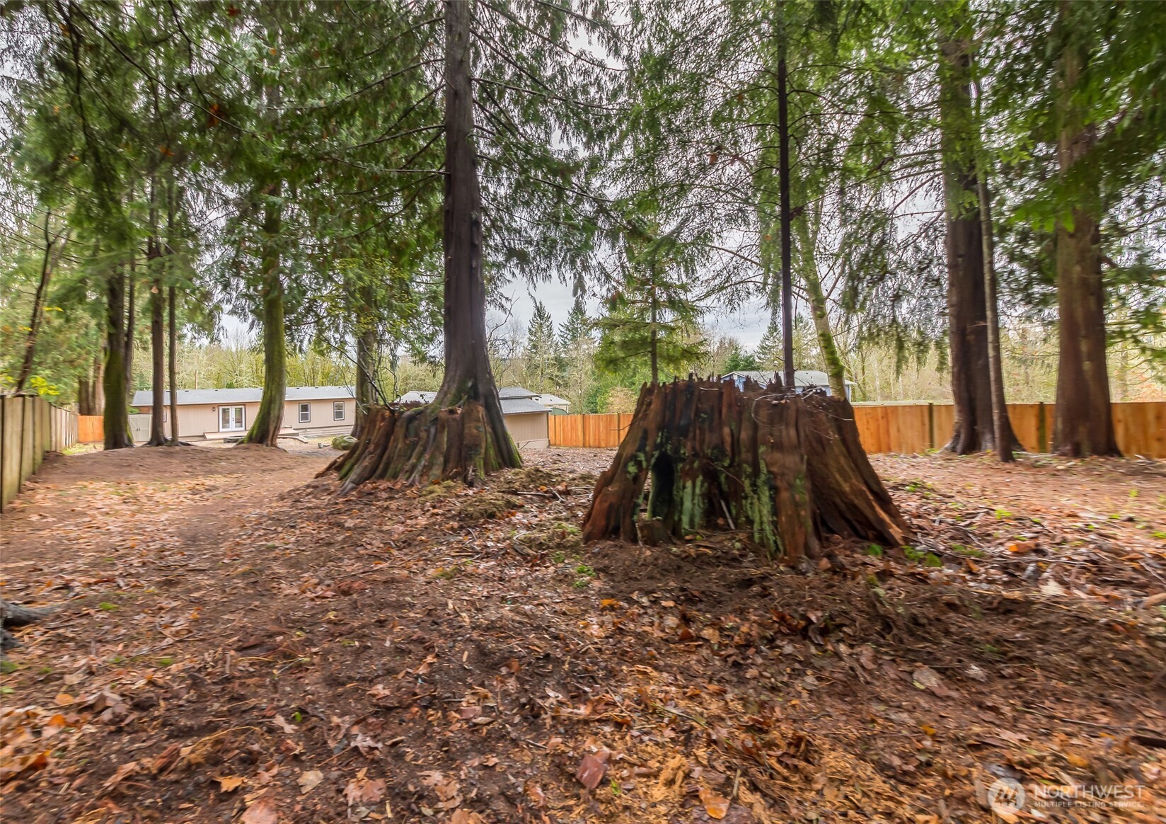 225 North Lake Roesiger Road Snohomish, WA 98290 - Photo 38 of 40 a view of backyard with tree