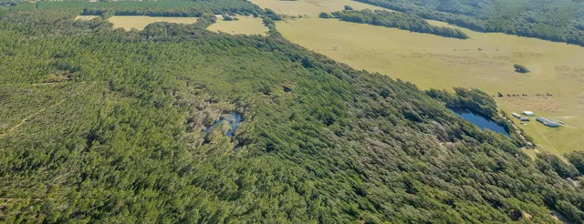 $399,000 | 0 Paulette Drive, Crawfordville, FL 32327