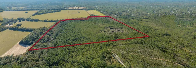 $399,000 | 0 Paulette Drive, Crawfordville, FL 32327