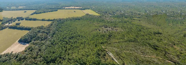 $399,000 | 0 Paulette Drive, Crawfordville, FL 32327