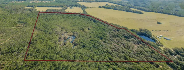 $399,000 | 0 Paulette Drive, Crawfordville, FL 32327