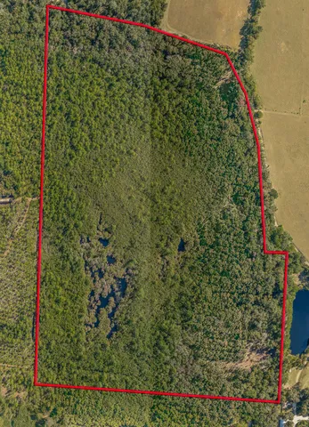 $399,000 | 0 Paulette Drive, Crawfordville, FL 32327