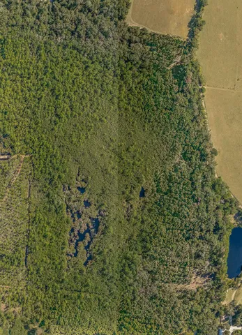 $399,000 | 0 Paulette Drive, Crawfordville, FL 32327