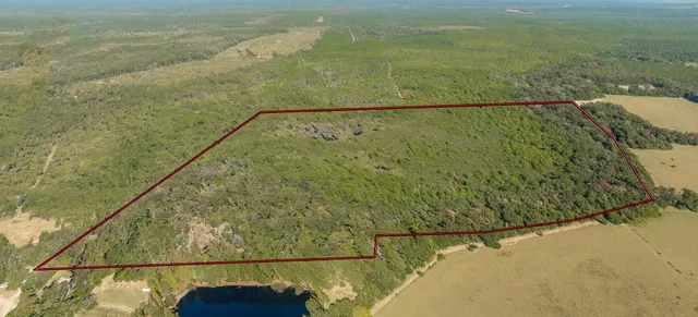 $399,000 | 0 Paulette Drive, Crawfordville, FL 32327