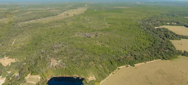 $399,000 | 0 Paulette Drive, Crawfordville, FL 32327