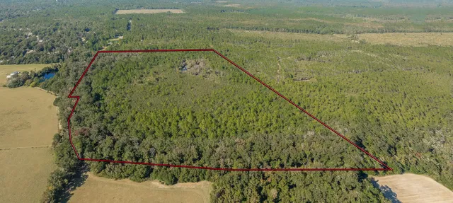 $399,000 | 0 Paulette Drive, Crawfordville, FL 32327