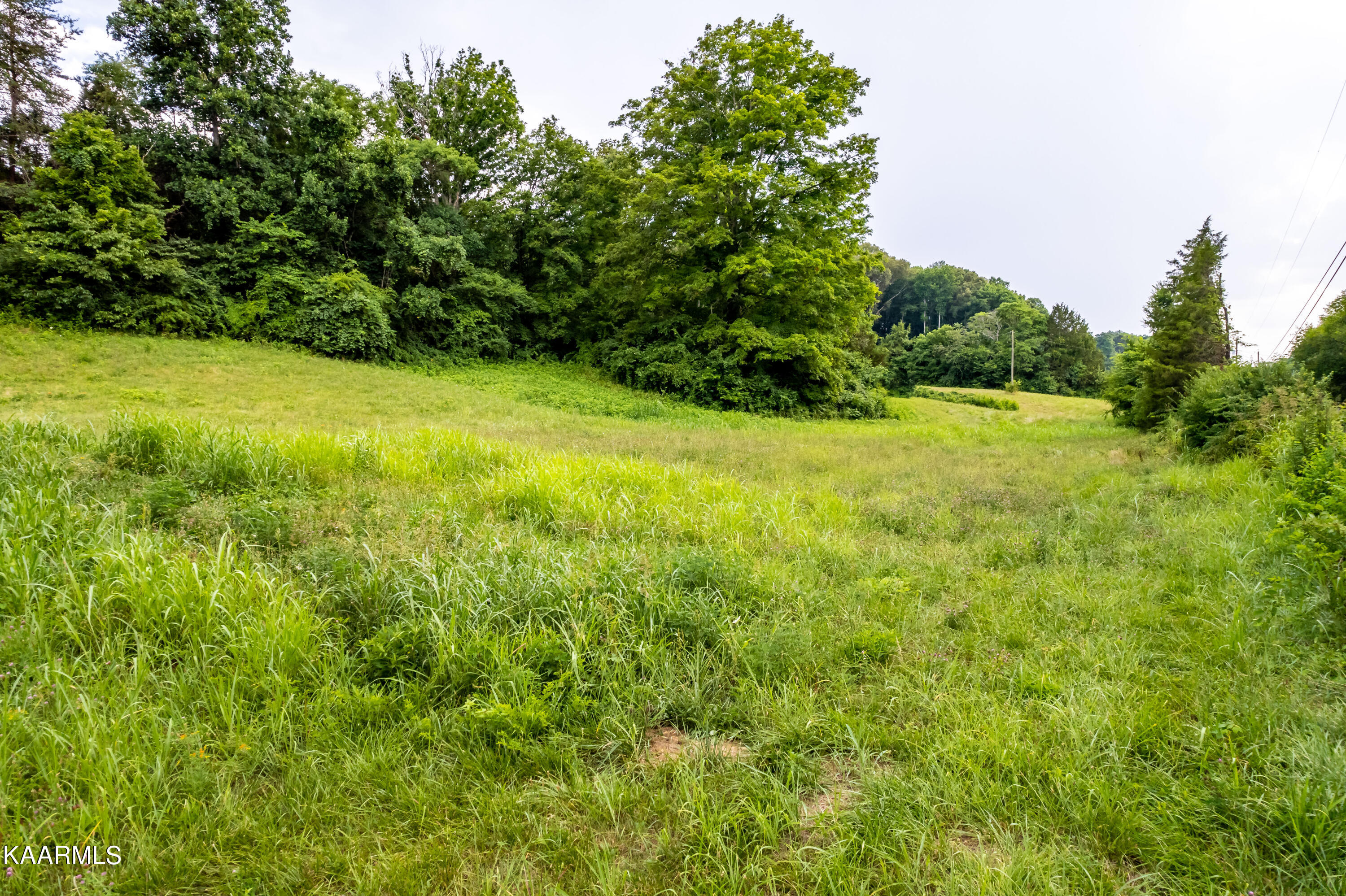 10042 Stringtown Road Strawberry Plains, TN 37871 - Photo 12 of 14 10042Stringtownrd-29