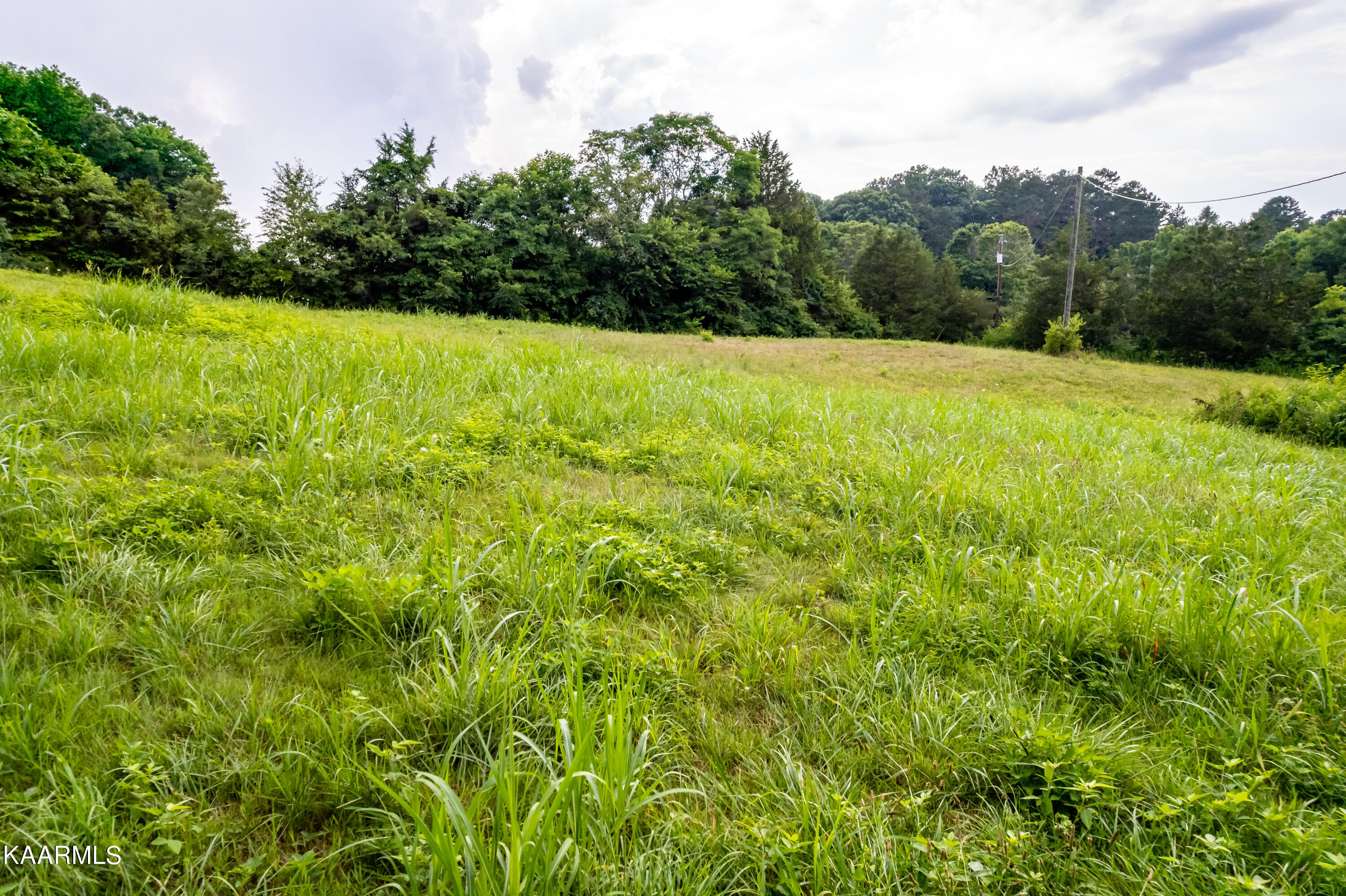 10042 Stringtown Road Strawberry Plains, TN 37871 - Photo 14 of 14 10042Stringtownrd-31