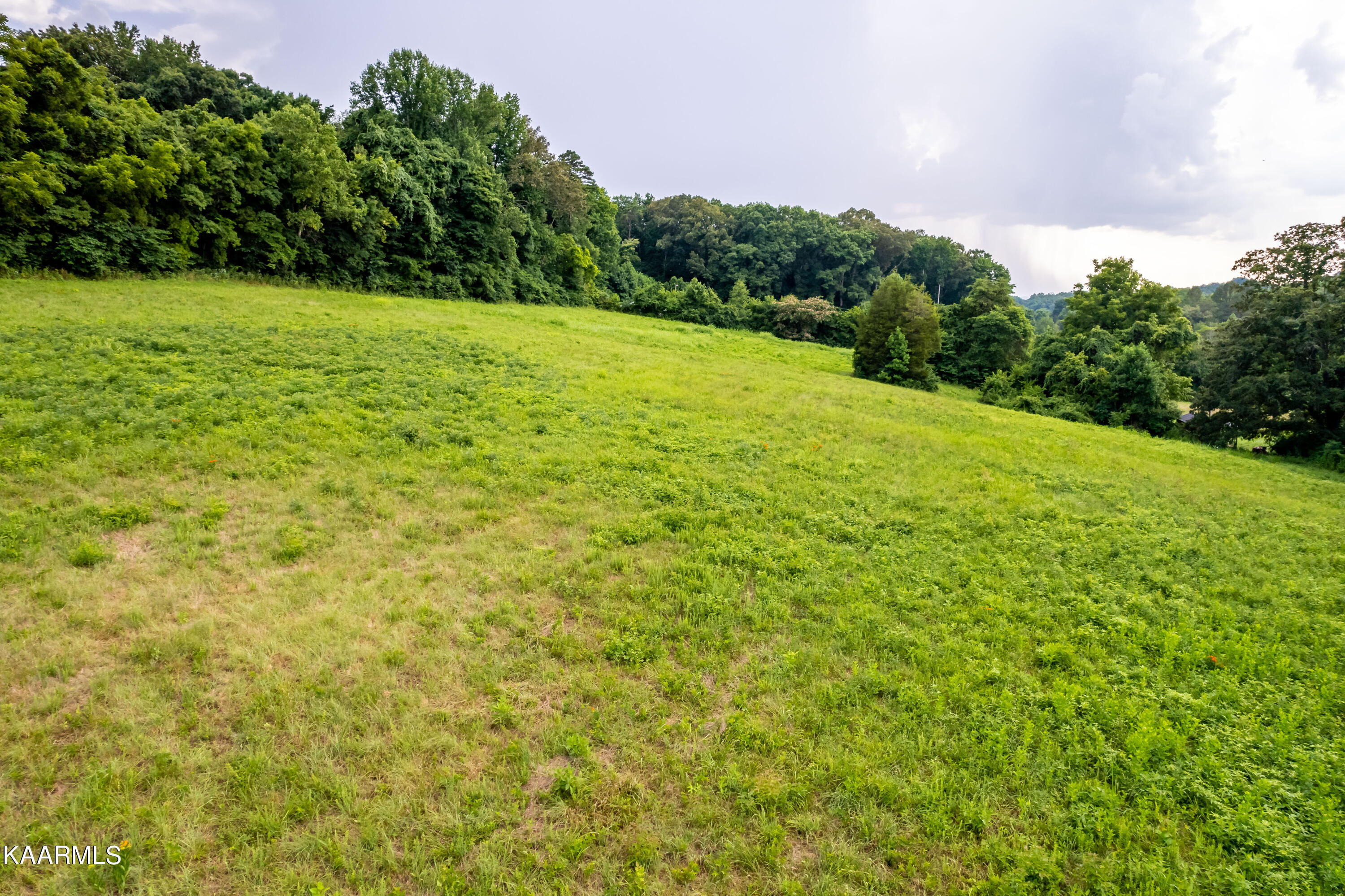 10042 Stringtown Road Strawberry Plains, TN 37871 - Photo 6 of 14 10042Stringtownrd-22