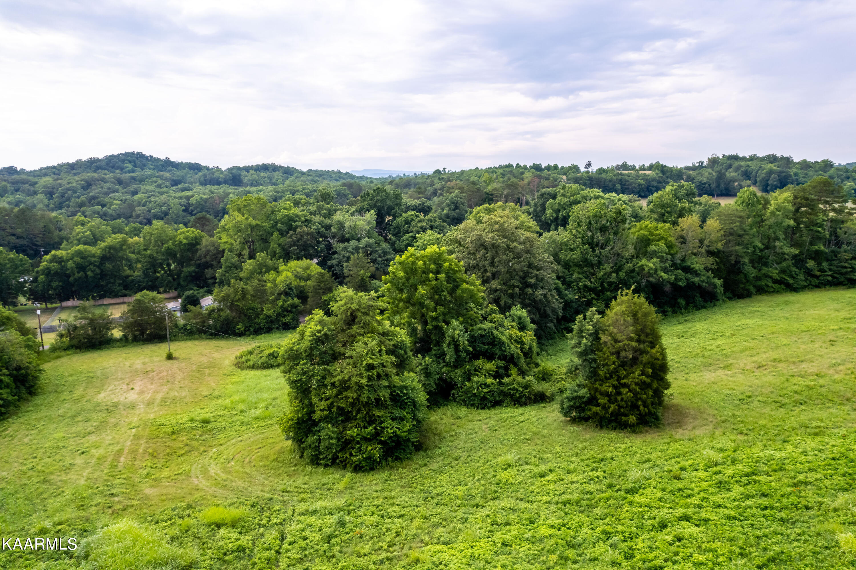 10042 Stringtown Road Strawberry Plains, TN 37871 - Photo 7 of 14 10042Stringtownrd-24