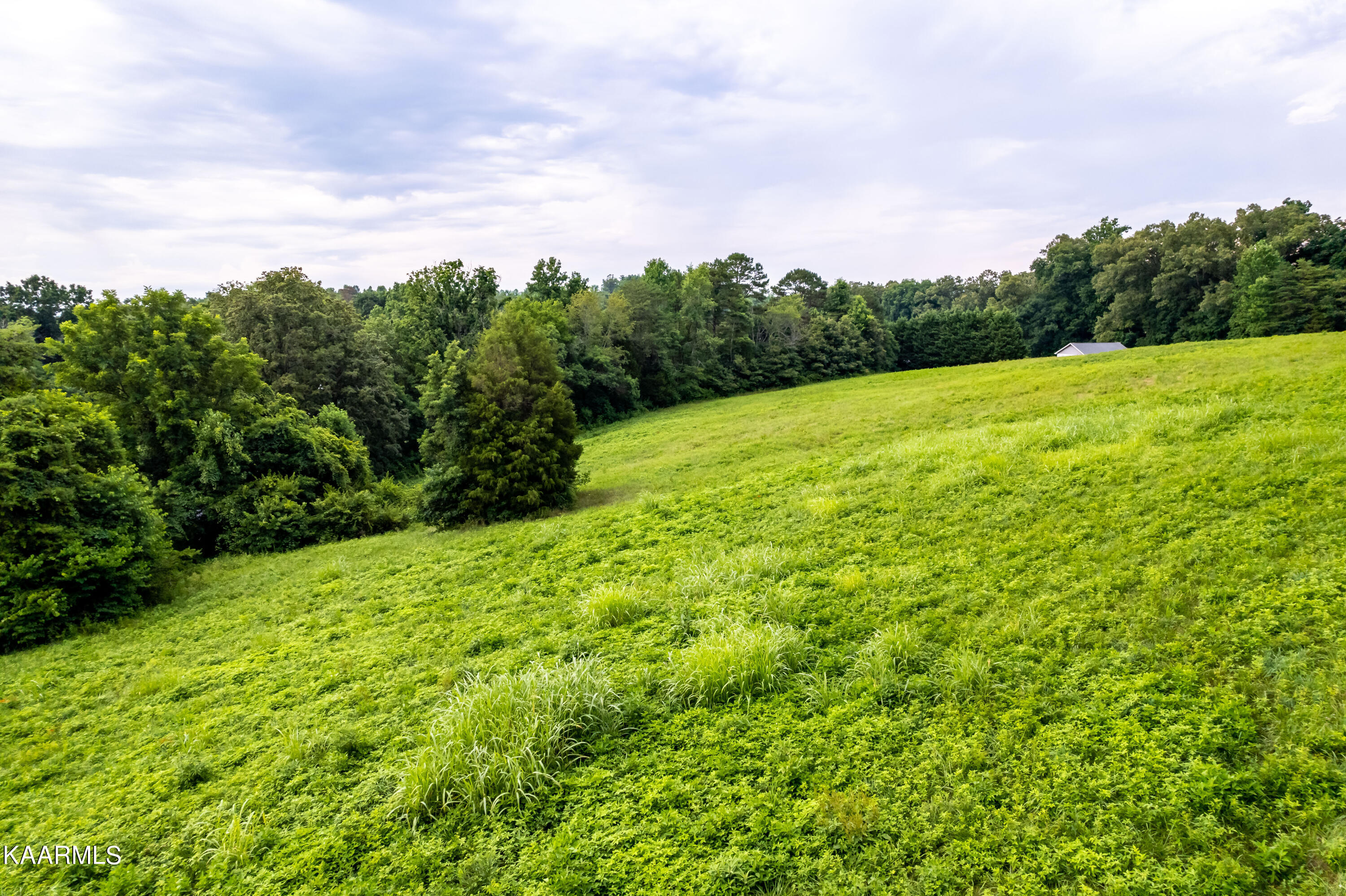 10042 Stringtown Road Strawberry Plains, TN 37871 - Photo 8 of 14 10042Stringtownrd-25