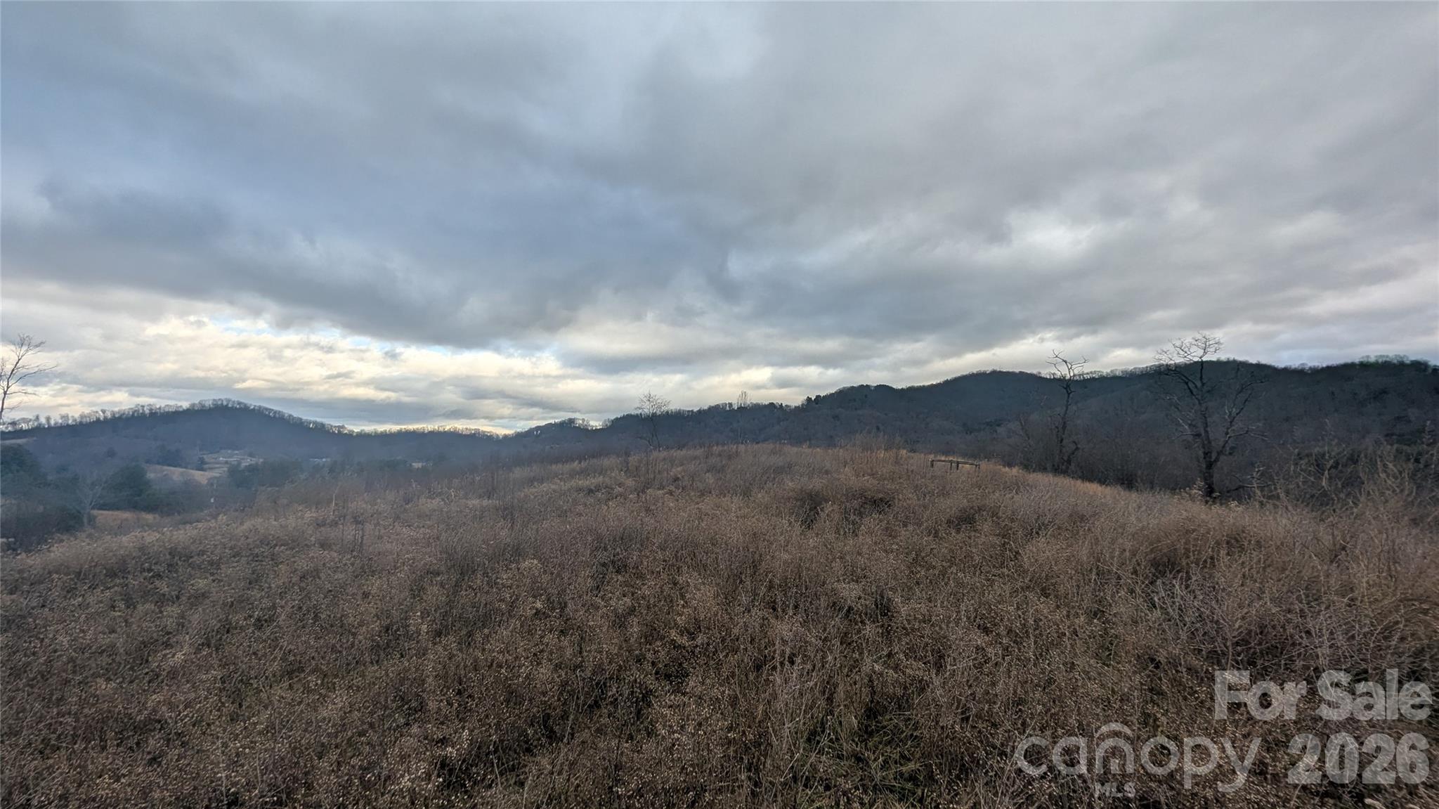 347 Richland Creek Road Clyde, NC 28721 - Photo 45 of 46