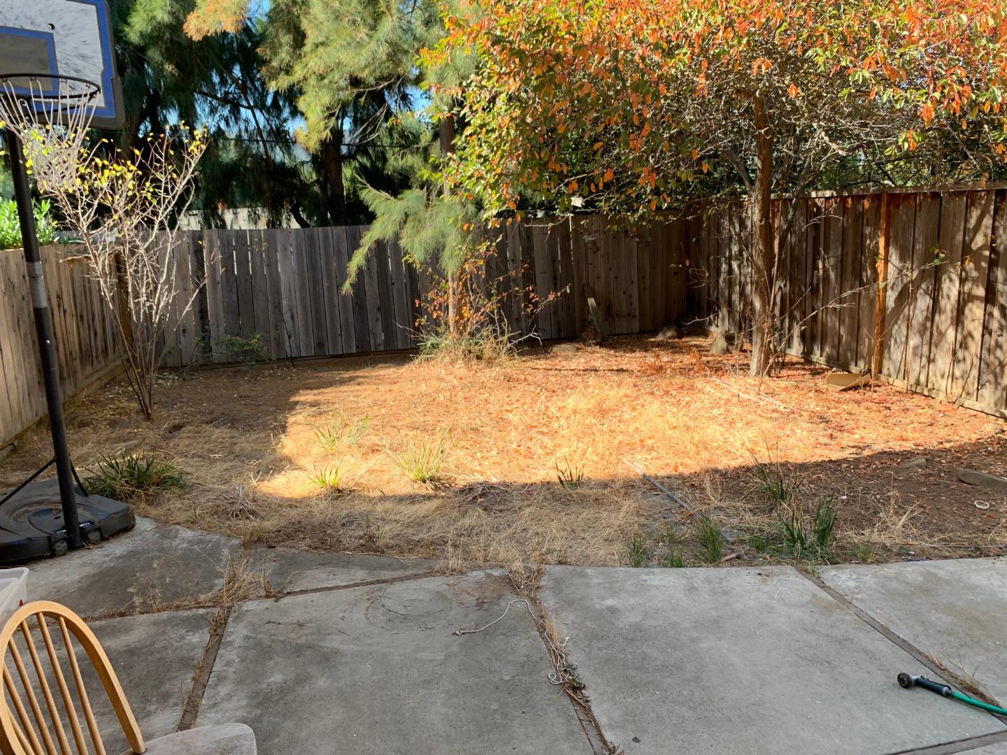 10327 Alpine Drive Cupertino, CA 95014 - Photo 15 of 25 a view of a yard with wooden fence