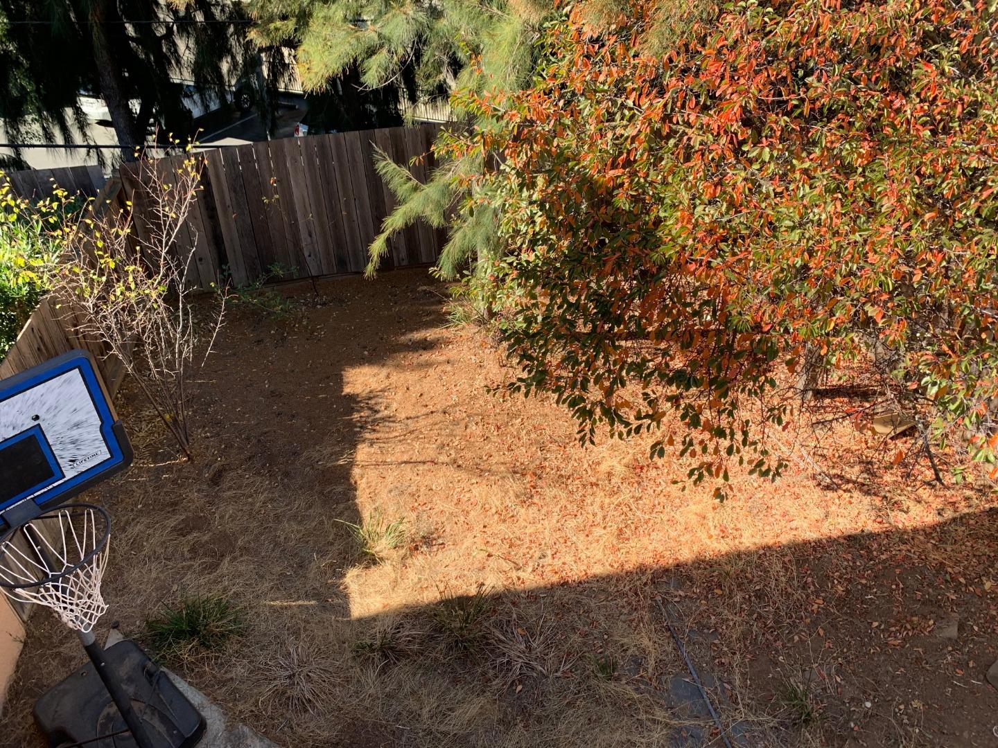 10327 Alpine Drive Cupertino, CA 95014 - Photo 16 of 25 a view of backyard with wooden fence