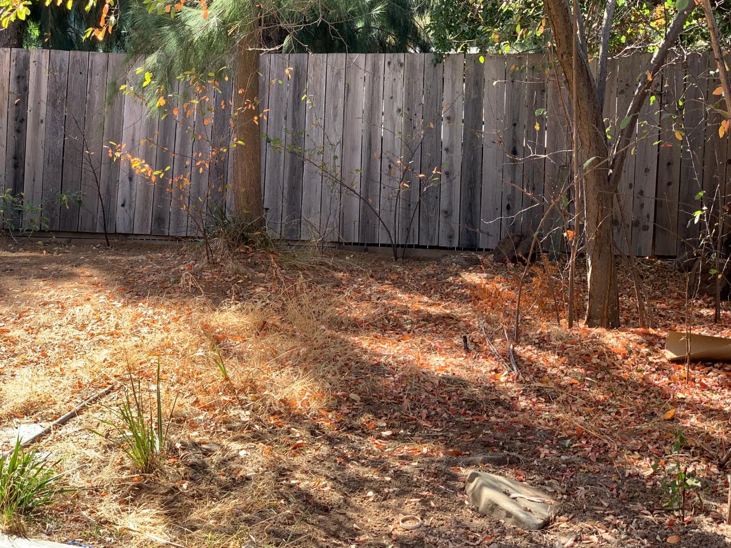 10327 Alpine Drive Cupertino, CA 95014 - Photo 17 of 25 a view of small yard with wooden fence