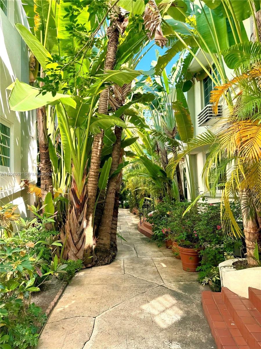 349 Meridian Avenue, Unit B202 Miami Beach, FL 33139 - Photo 6 of 20 a view of a yard with plants