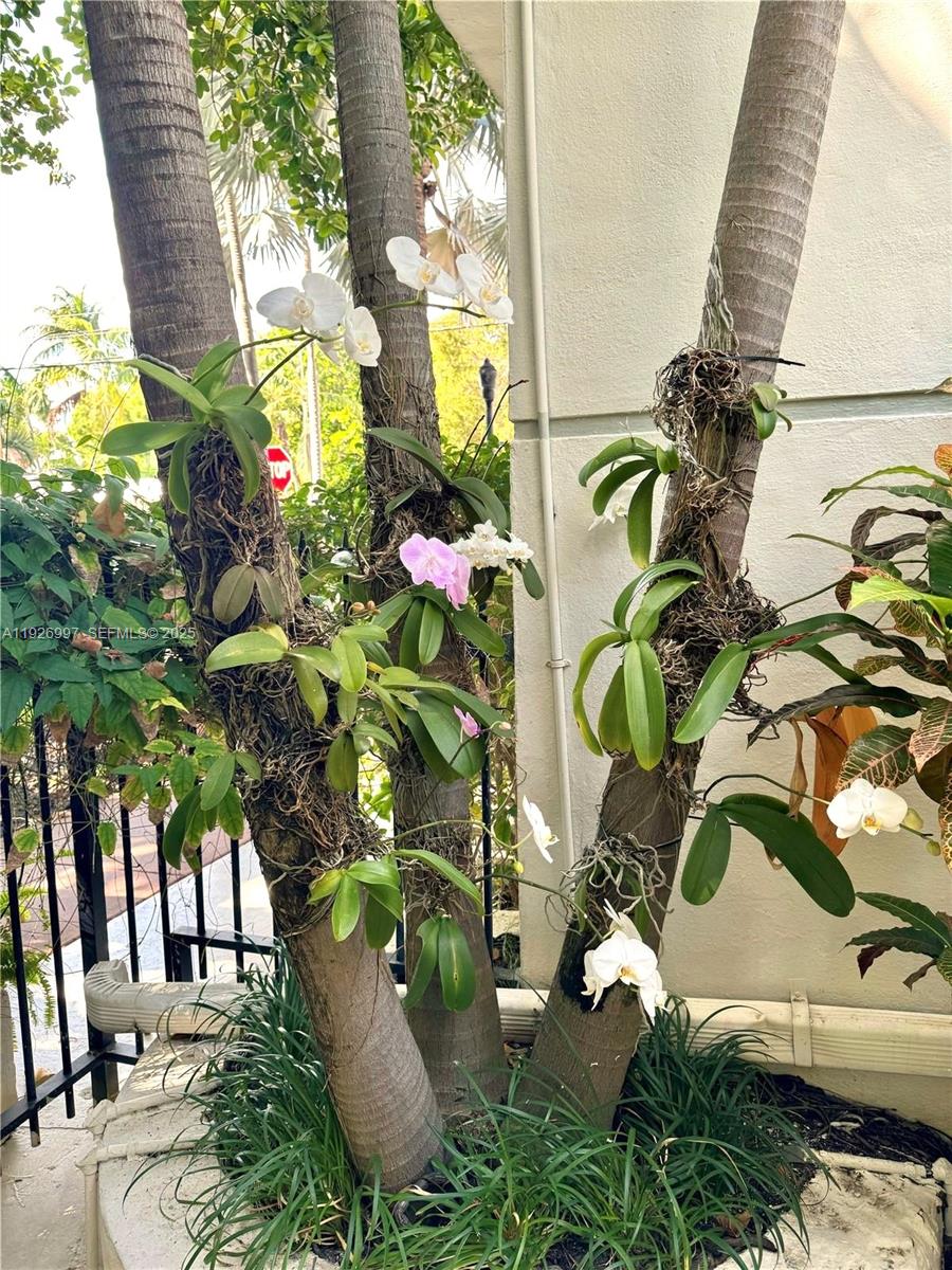 349 Meridian Avenue, Unit B202 Miami Beach, FL 33139 - Photo 8 of 20 a vase of flowers sitting on a floor