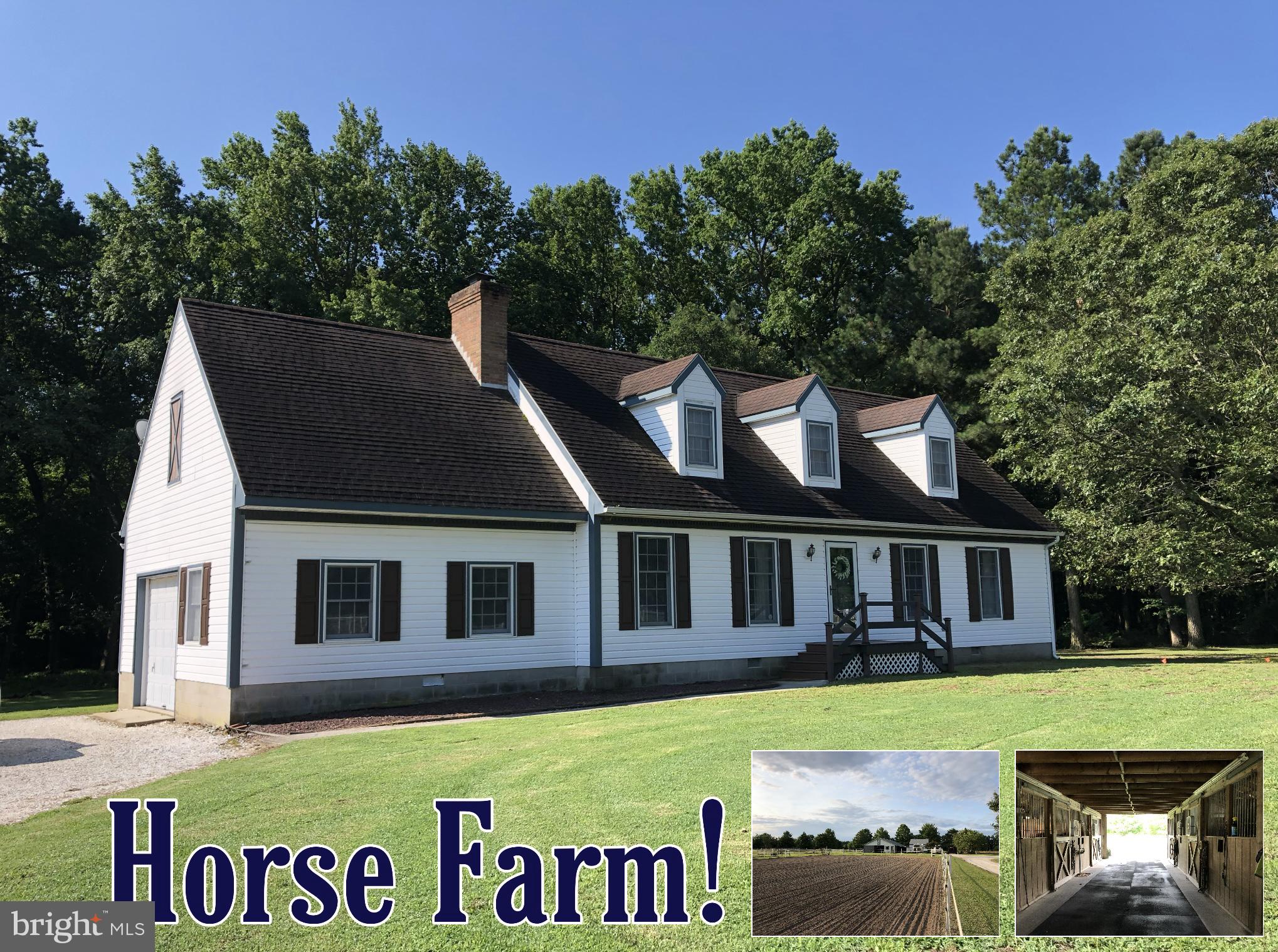 3949 Jesterville Road Tyaskin, MD 21865 - Photo 1 of 80