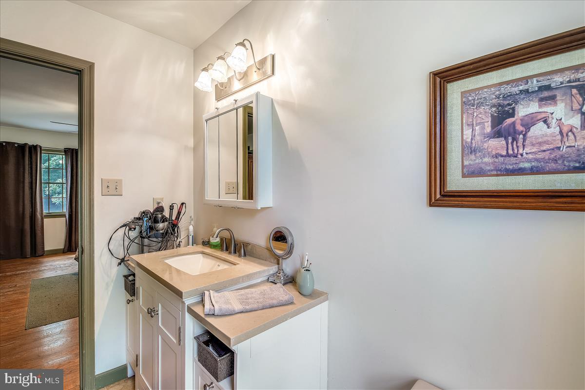 3949 Jesterville Road Tyaskin, MD 21865 - Photo 25 of 80 Master Bath