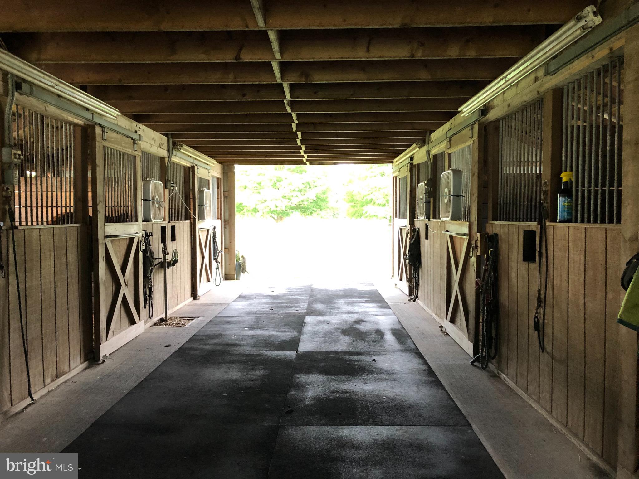3949 Jesterville Road Tyaskin, MD 21865 - Photo 38 of 80 8 stalls (stall mats to stay)