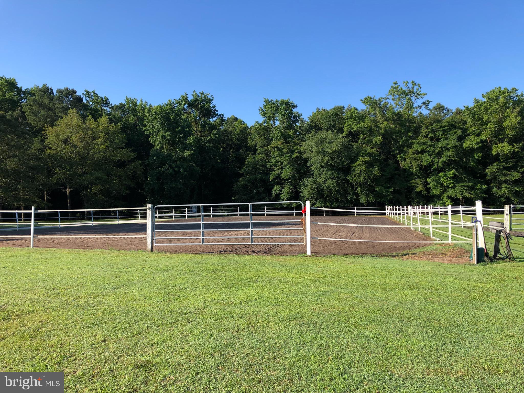 3949 Jesterville Road Tyaskin, MD 21865 - Photo 50 of 80 Horse Paature