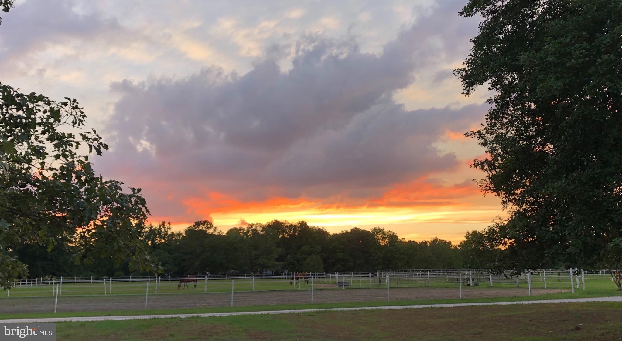 3949 Jesterville Road Tyaskin, MD 21865 - Photo 58 of 80 Sunsets