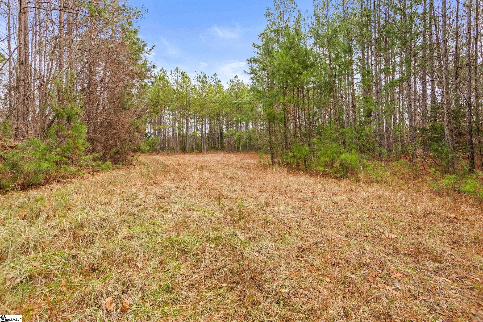 839 Duncan Creek Church Road Clinton, SC 29325 - Photo 41 of 50