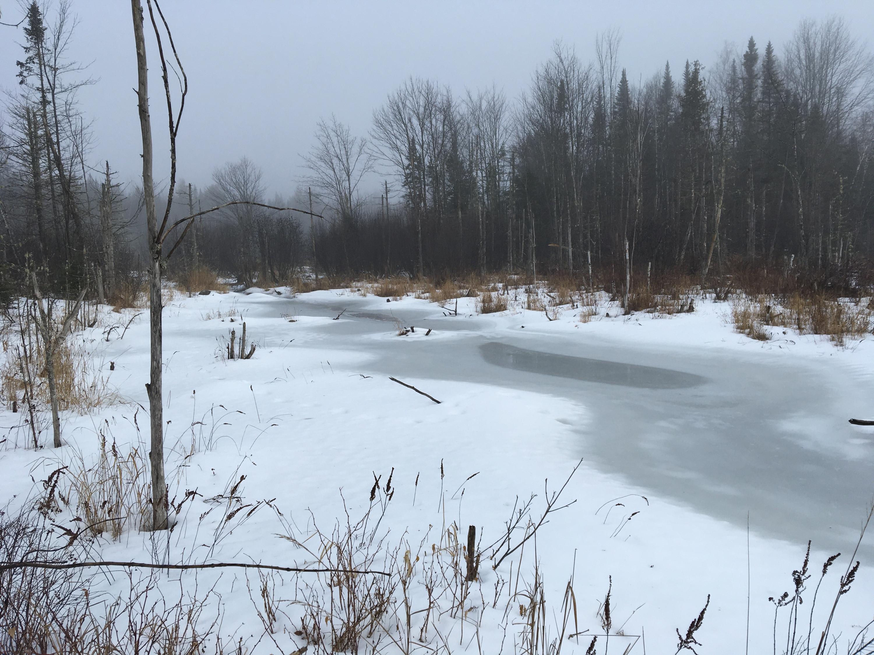 Lot 8 Johnson Flat Road Pittsfield, ME 04967 - Photo 1 of 15 Photo Mar 03, 8 21 04 AM