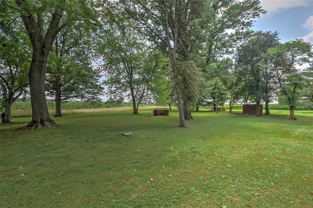 2502 East 1800 North Road Moweaqua, IL 62550 - Photo 31 of 33