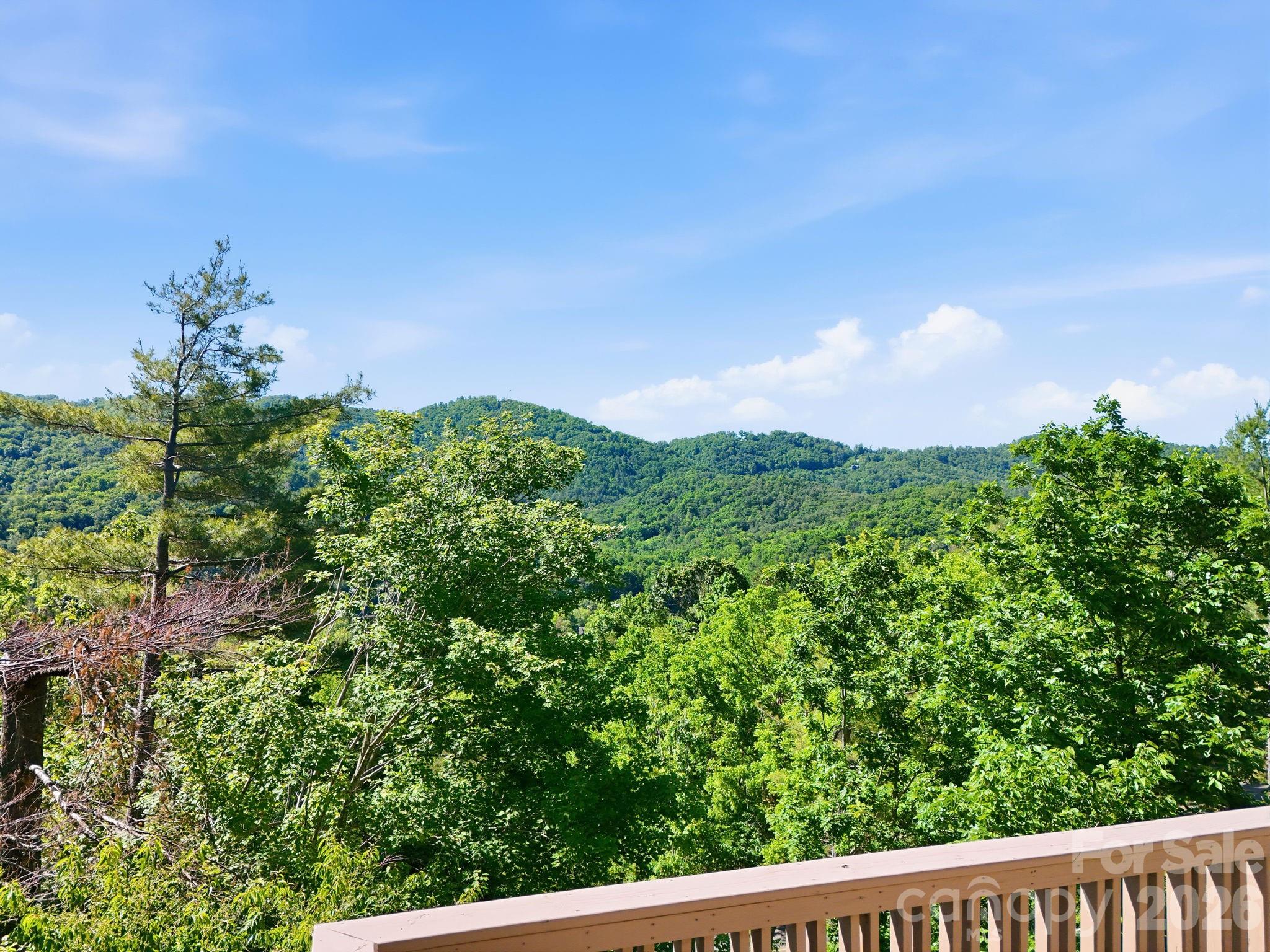 68 Stony Ridge Asheville, NC 28804 - Photo 31 of 48