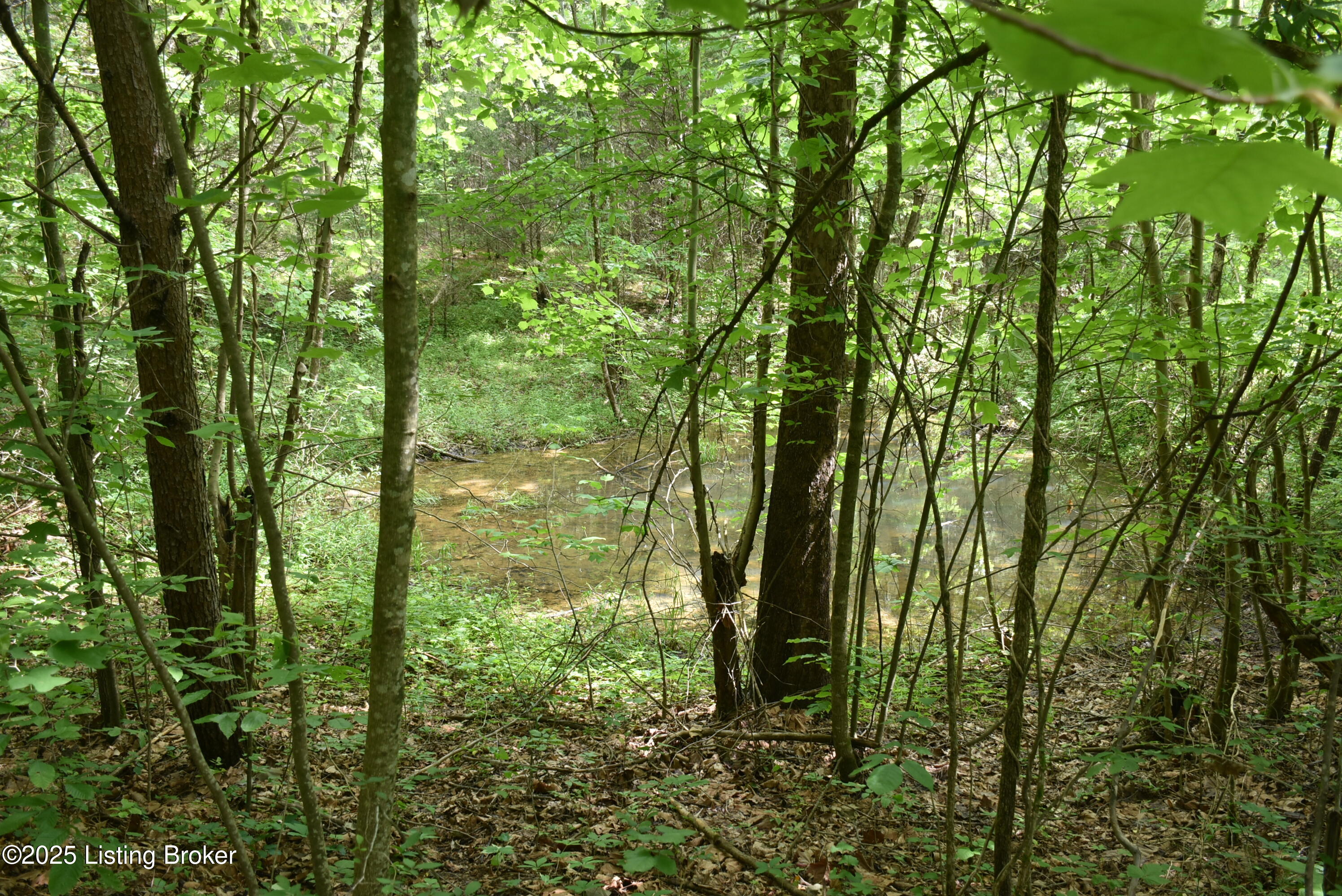 3015 Chestnut Grove Road Columbia, KY 42728 - Photo 16 of 37 DSC_9207