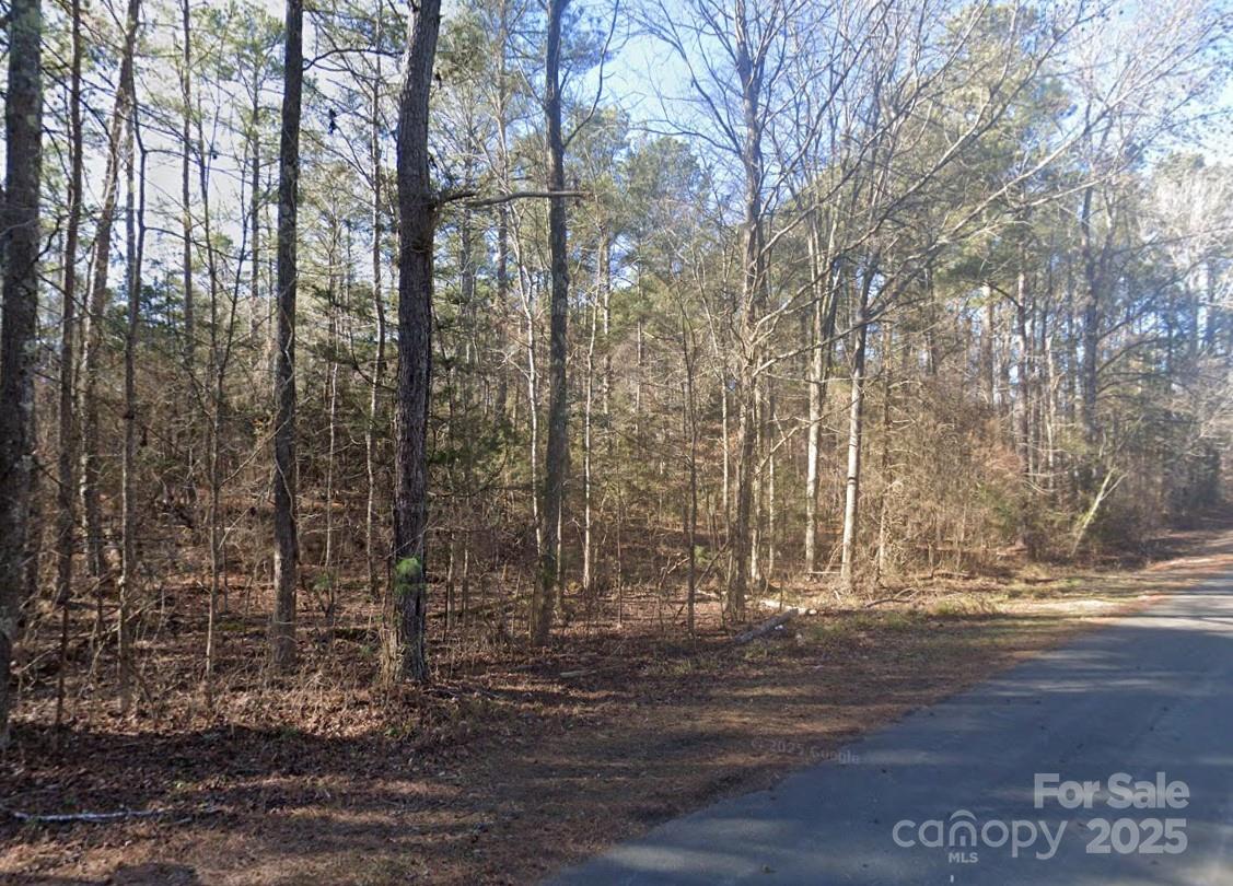 0 King Road Henderson, NC 27537 - Photo 3 of 3 Gallery Image 3