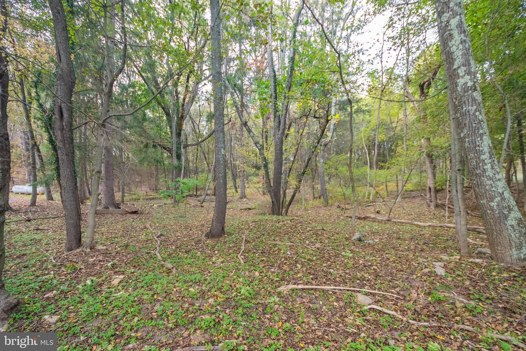 Hammond Street Oakland, MD 21550 - Photo 2 of 2