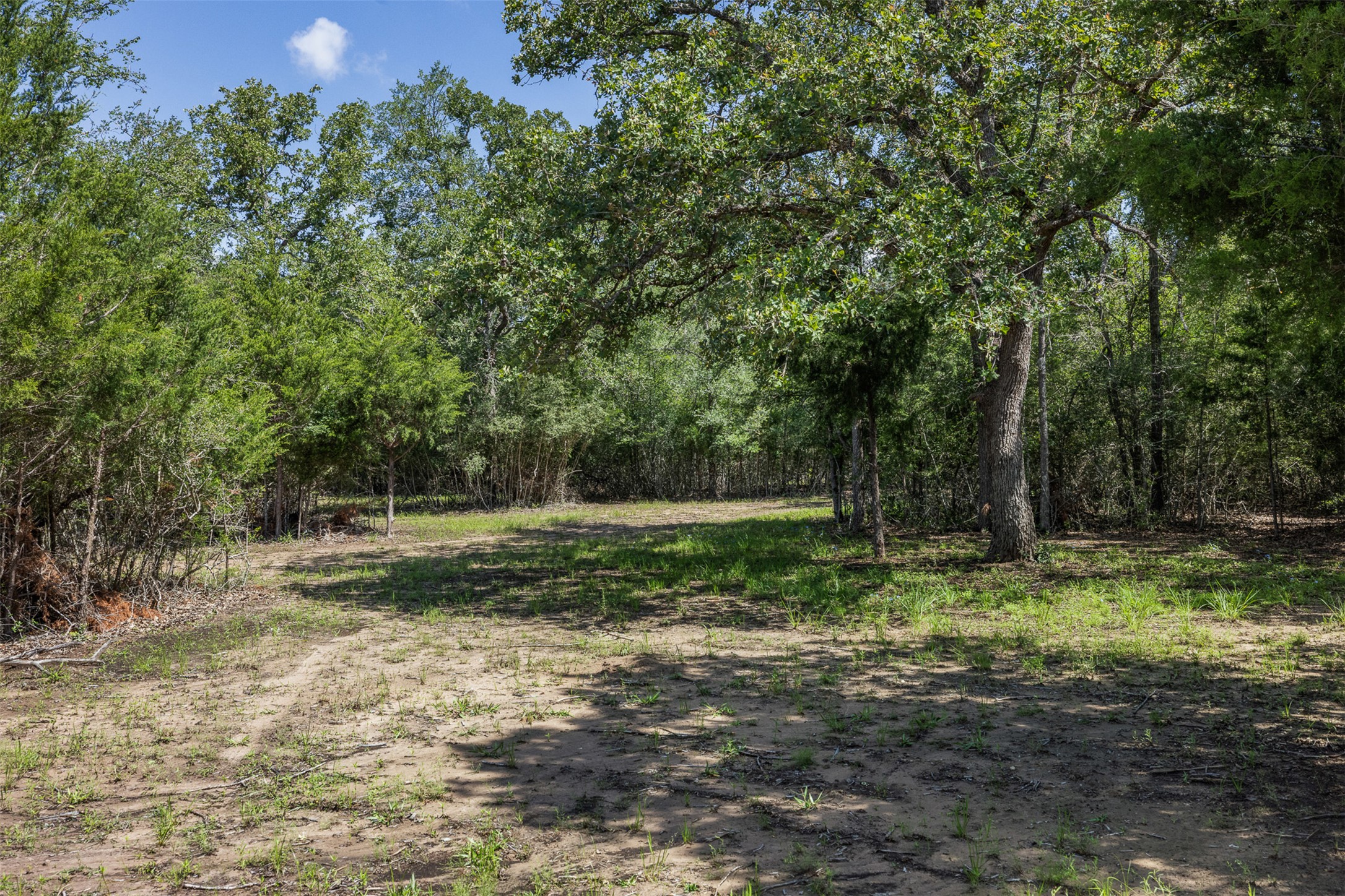 7132 Serenity Ranch Road Somerville, TX 77879 - Photo 5 of 27