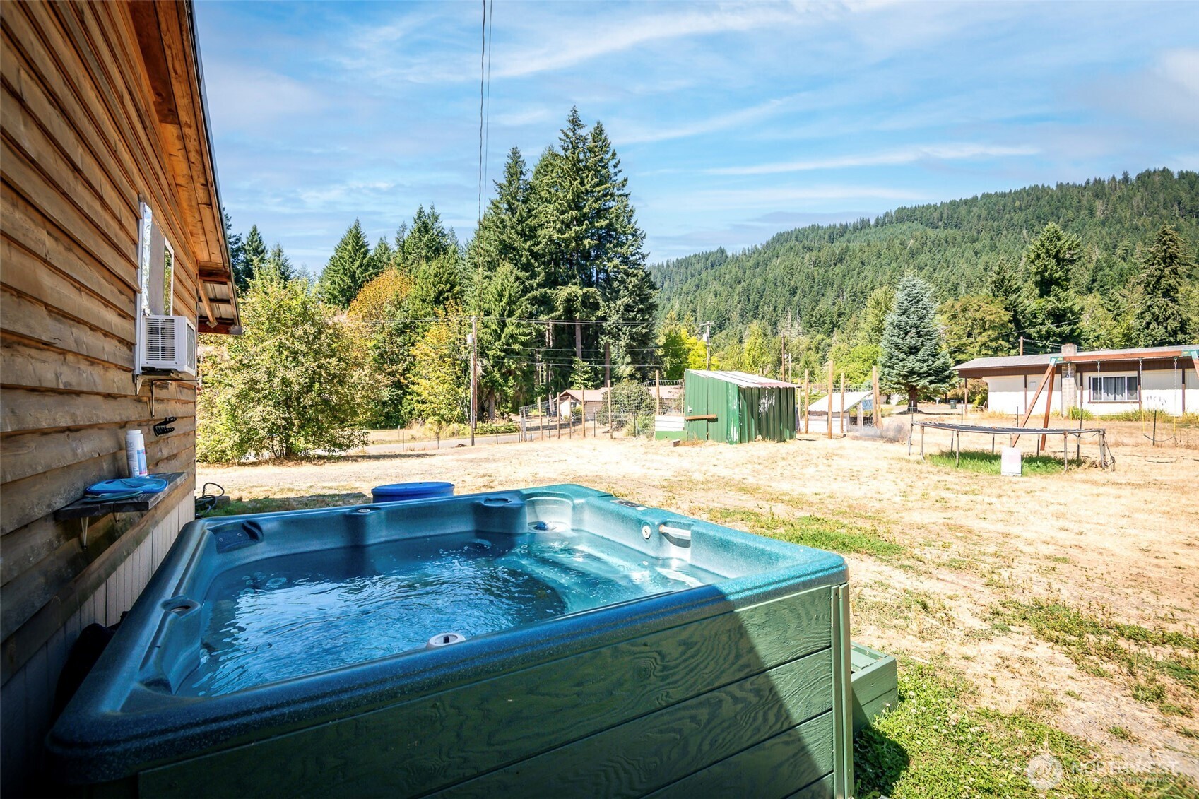 142 Gharet Road Randle, WA 98377 - Photo 15 of 32 a view of swimming pool with lawn chairs and large trees