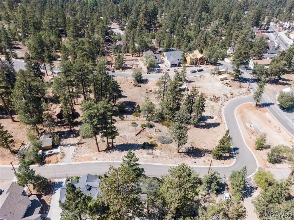 810 Talmadge Road Big Bear Lake, CA 92315 - Photo 14 of 18