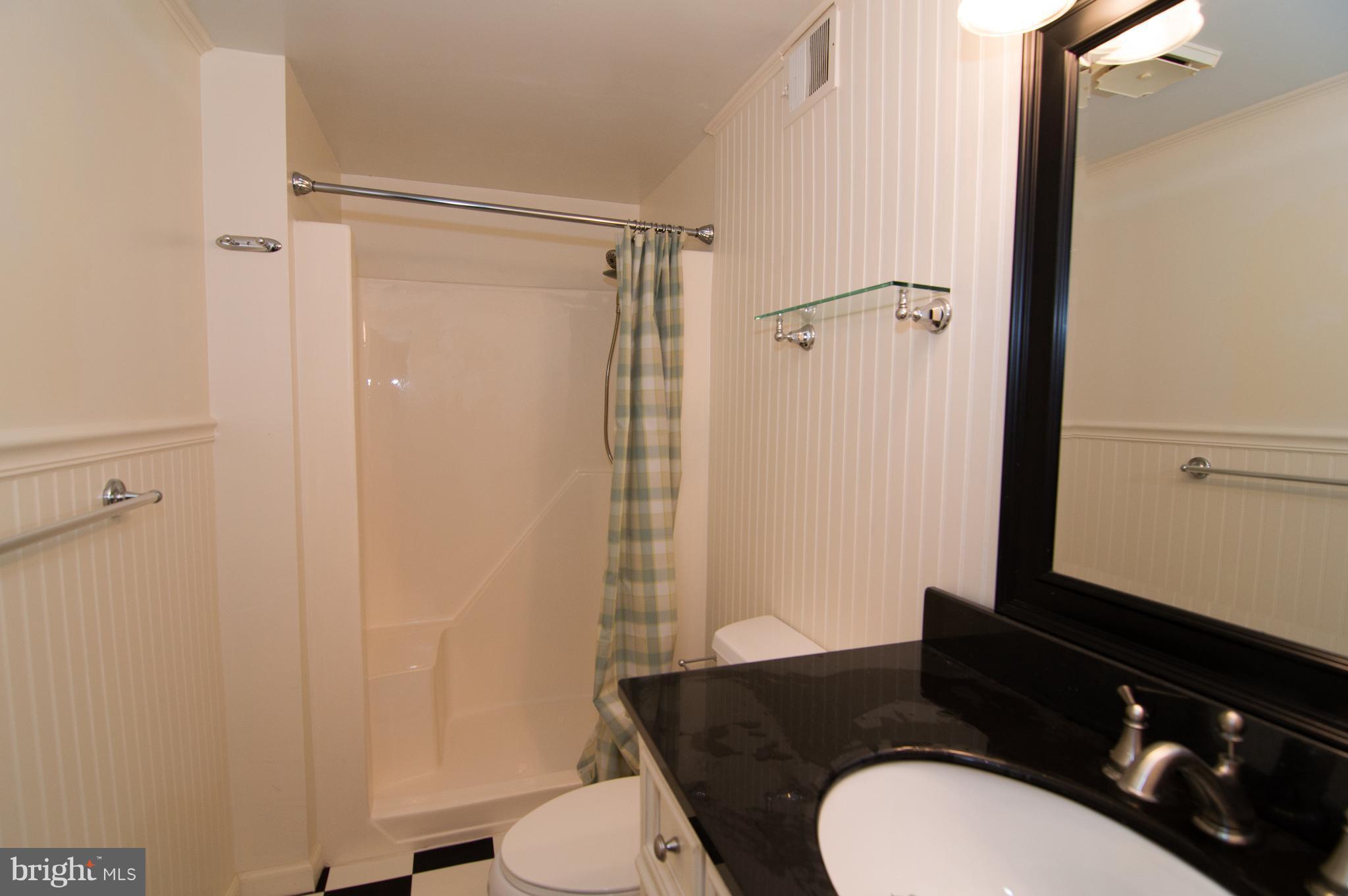 1508 Farsta Court Reston, VA 20190 - Photo 28 of 30 Lower Level Full Bath